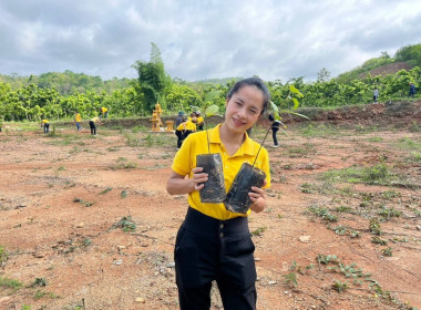 จัดกิจกรรมปลูกต้นไม้ ภายใต้โครงการ &quot;สหกรณ์อาสา ทำความดี ... พารามิเตอร์รูปภาพ 6